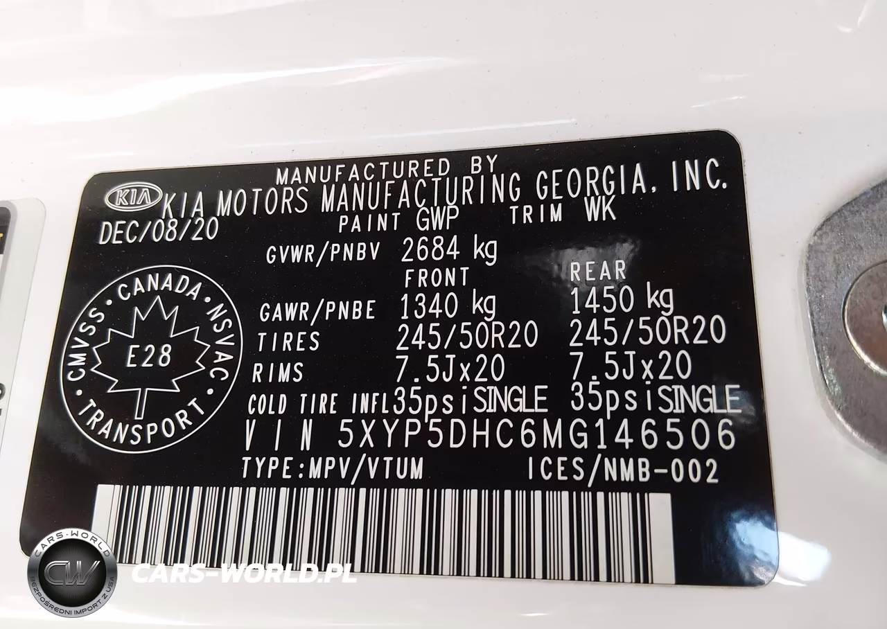 2021 Kia Telluride Sx VIN:5XYP5DHC6MG146506 - 9