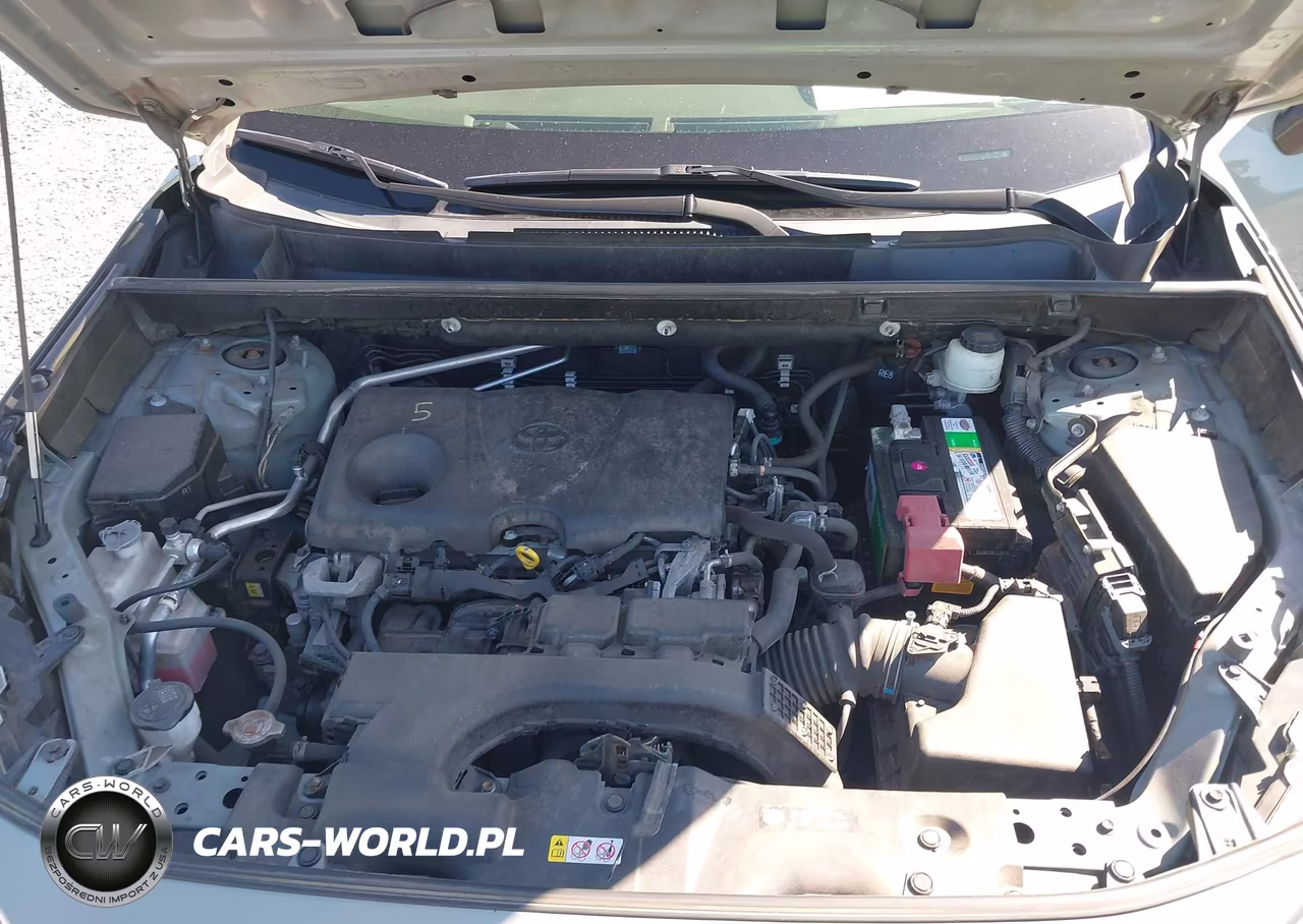 2019 Toyota Rav4 Xle VIN:JTMP1RFV4KD511094 - 10