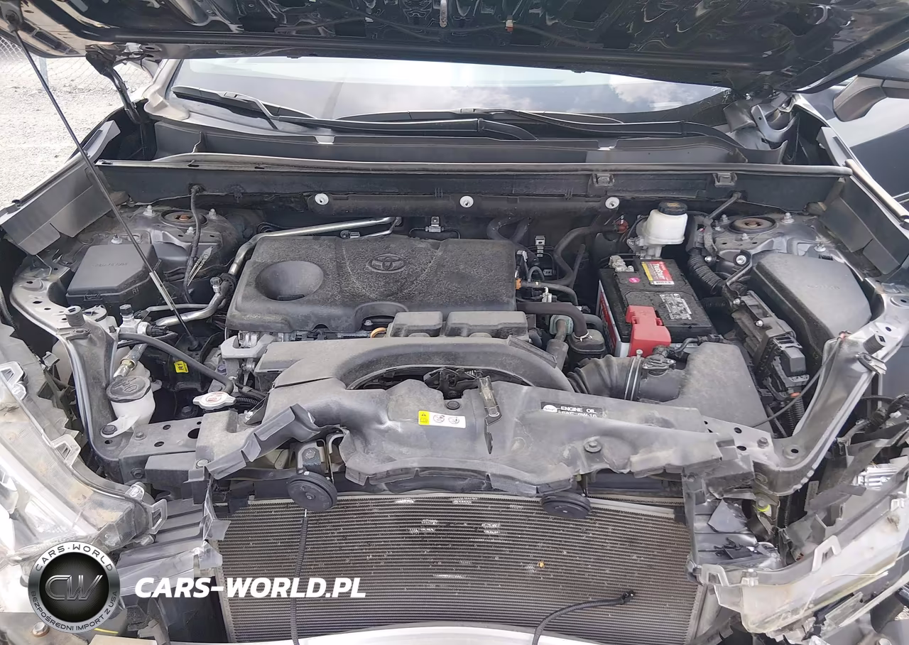 2019 Toyota Rav4 Xle VIN:2T3P1RFV0KW079784 - 10