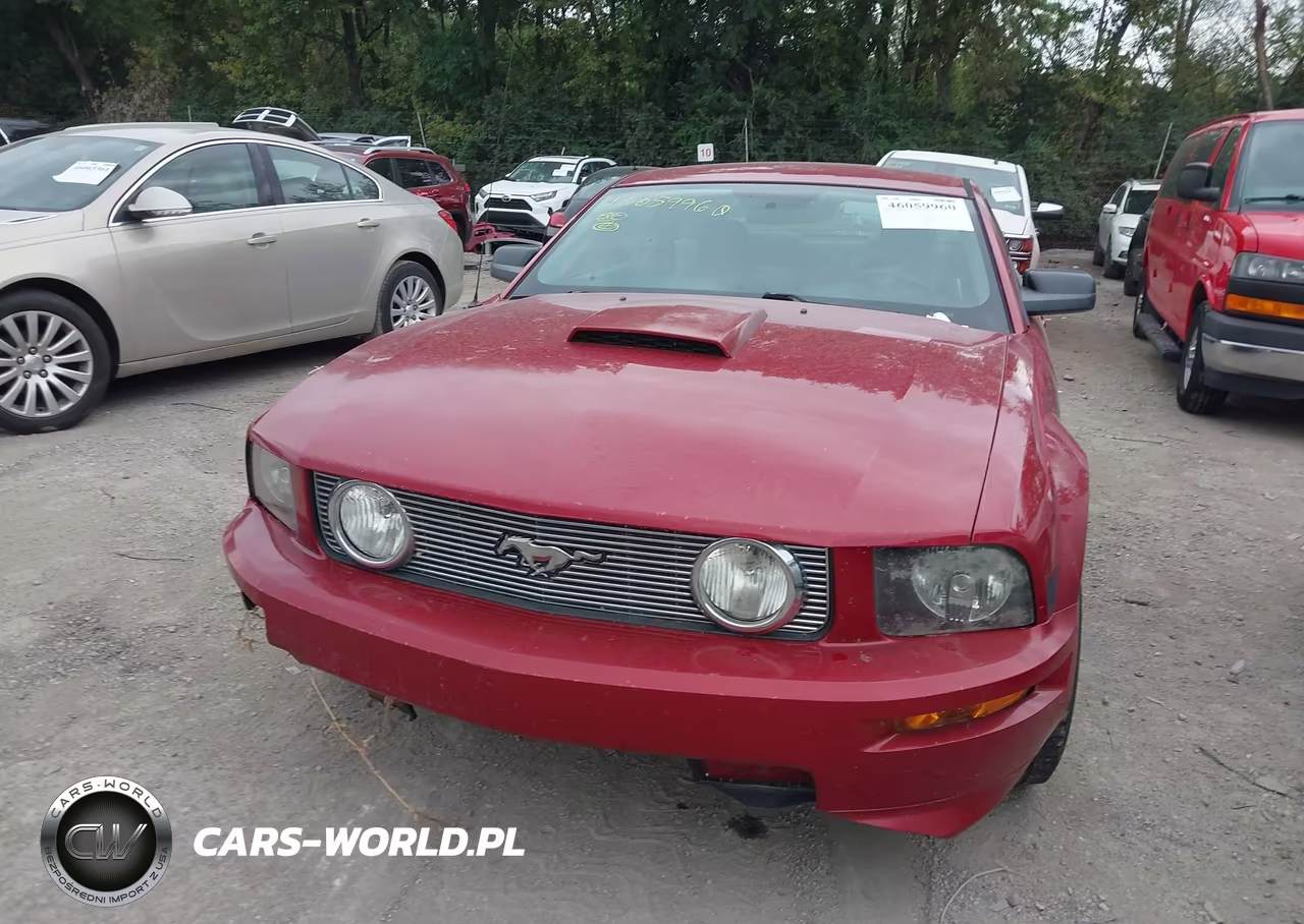2008 Ford Mustang Gt Deluxe-Gt Premium VIN:1ZVHT82H285176586 - 12