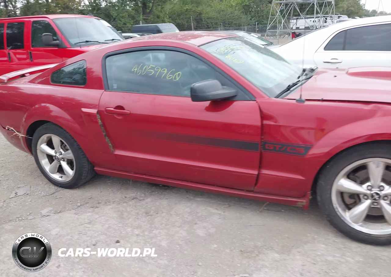 2008 Ford Mustang Gt Deluxe-Gt Premium VIN:1ZVHT82H285176586 - 13