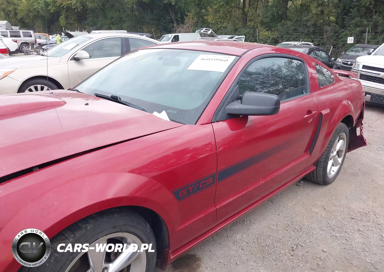 2008 Ford Mustang Gt Deluxe-Gt Premium VIN:1ZVHT82H285176586 - 14
