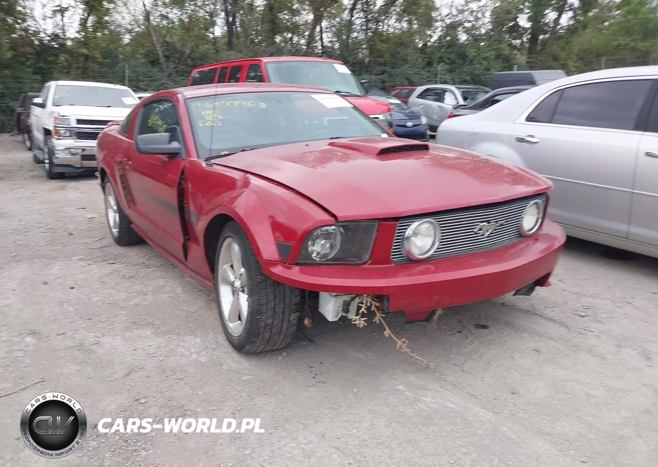 2008 Ford Mustang Gt Deluxe-Gt Premium VIN:1ZVHT82H285176586 - 6