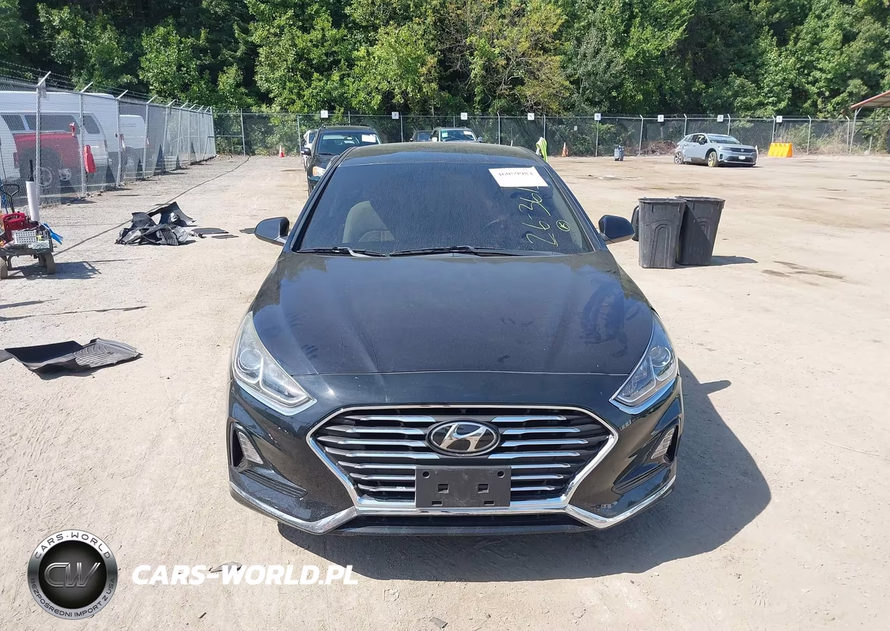 2019 Hyundai Sonata Se VIN:5NPE24AF5KH789553 - 12