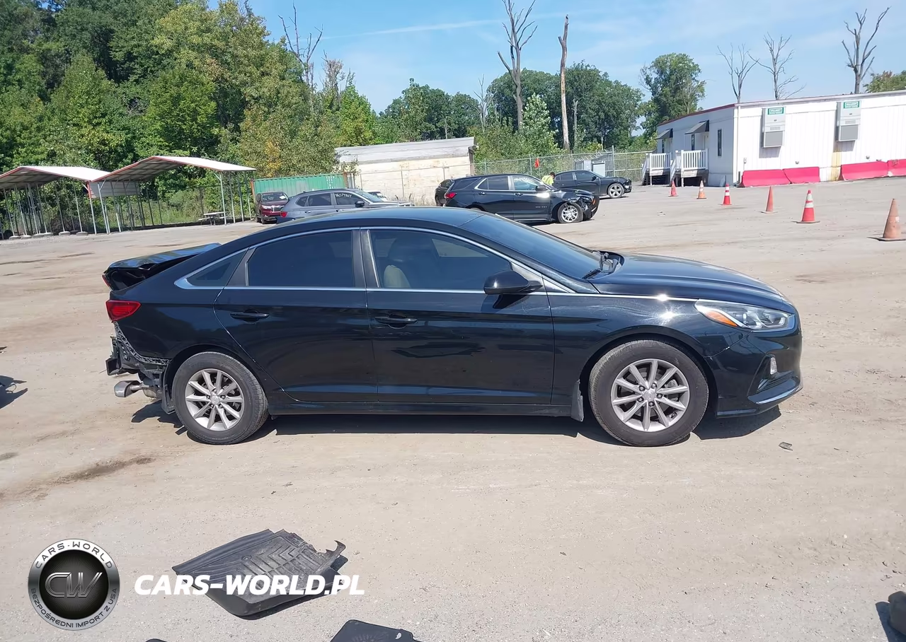 2019 Hyundai Sonata Se VIN:5NPE24AF5KH789553 - 13