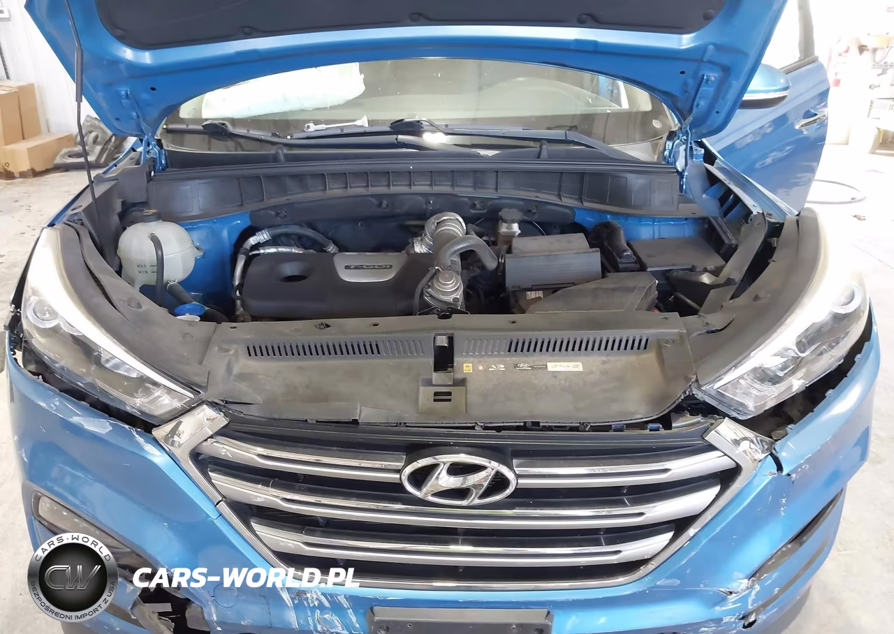 2017 Hyundai Tucson Limited VIN:KM8J33A26HU564653 - 10