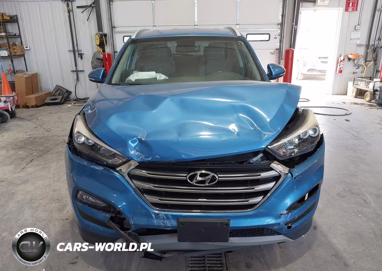 2017 Hyundai Tucson Limited VIN:KM8J33A26HU564653 - 12
