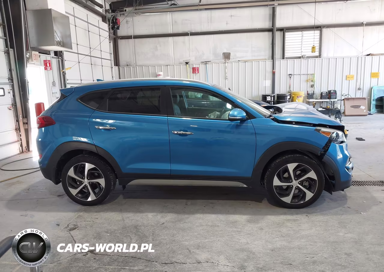 2017 Hyundai Tucson Limited VIN:KM8J33A26HU564653 - 13