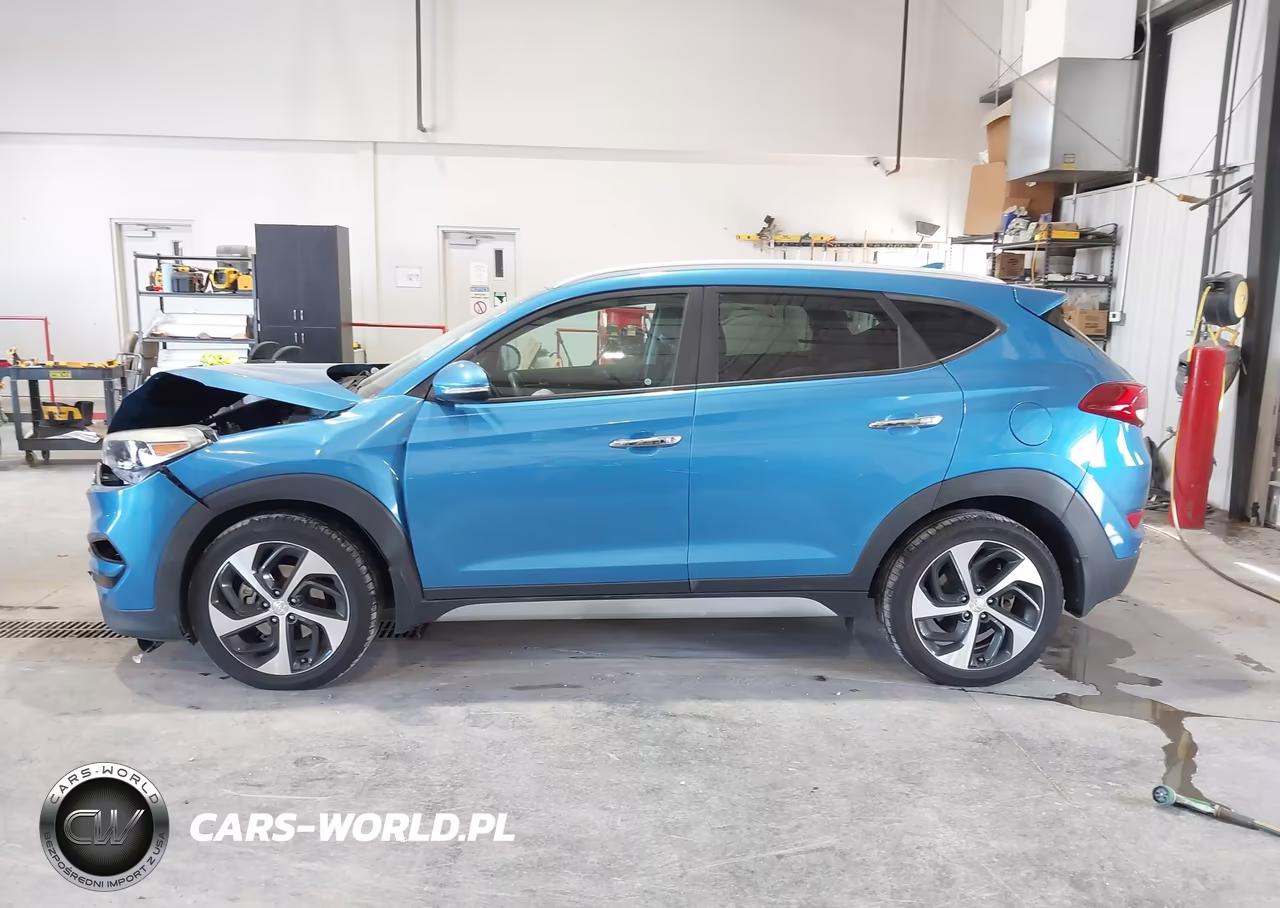 2017 Hyundai Tucson Limited VIN:KM8J33A26HU564653 - 14