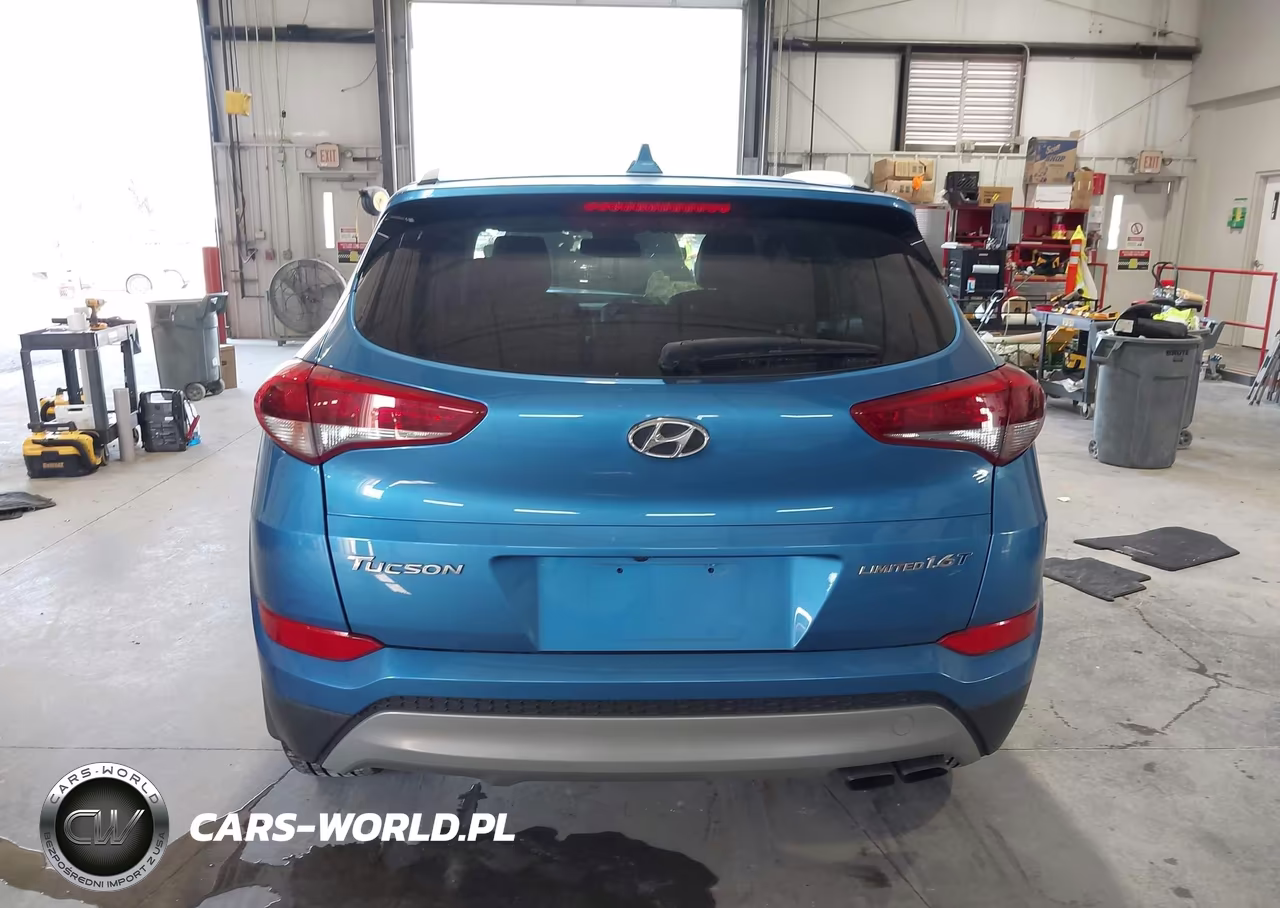2017 Hyundai Tucson Limited VIN:KM8J33A26HU564653 - 16