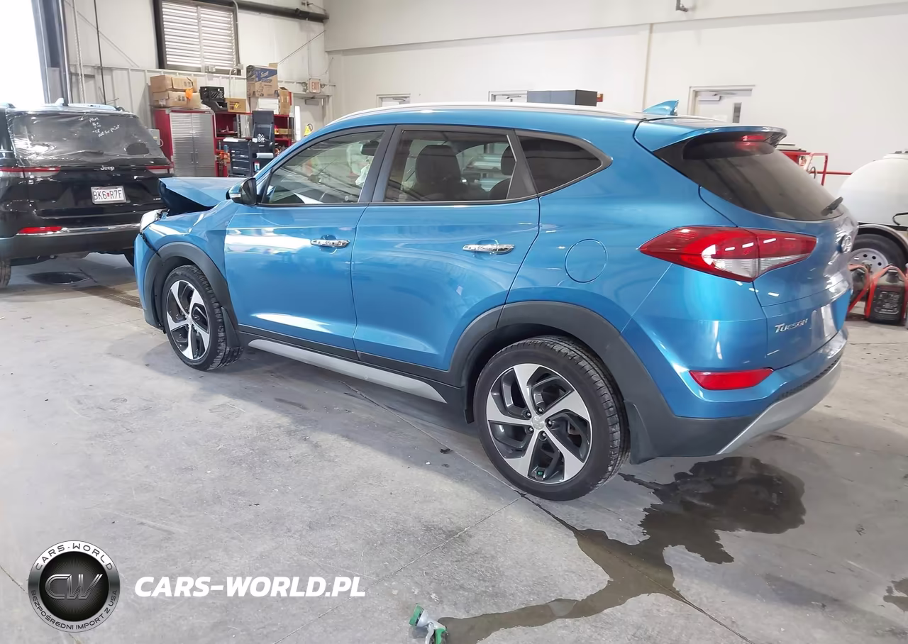 2017 Hyundai Tucson Limited VIN:KM8J33A26HU564653 - 3
