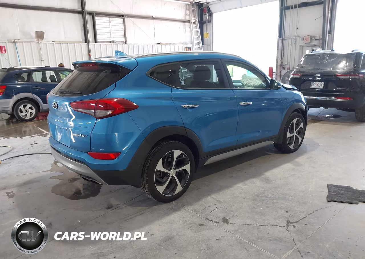 2017 Hyundai Tucson Limited VIN:KM8J33A26HU564653 - 4
