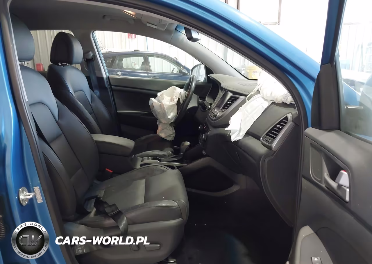 2017 Hyundai Tucson Limited VIN:KM8J33A26HU564653 - 5