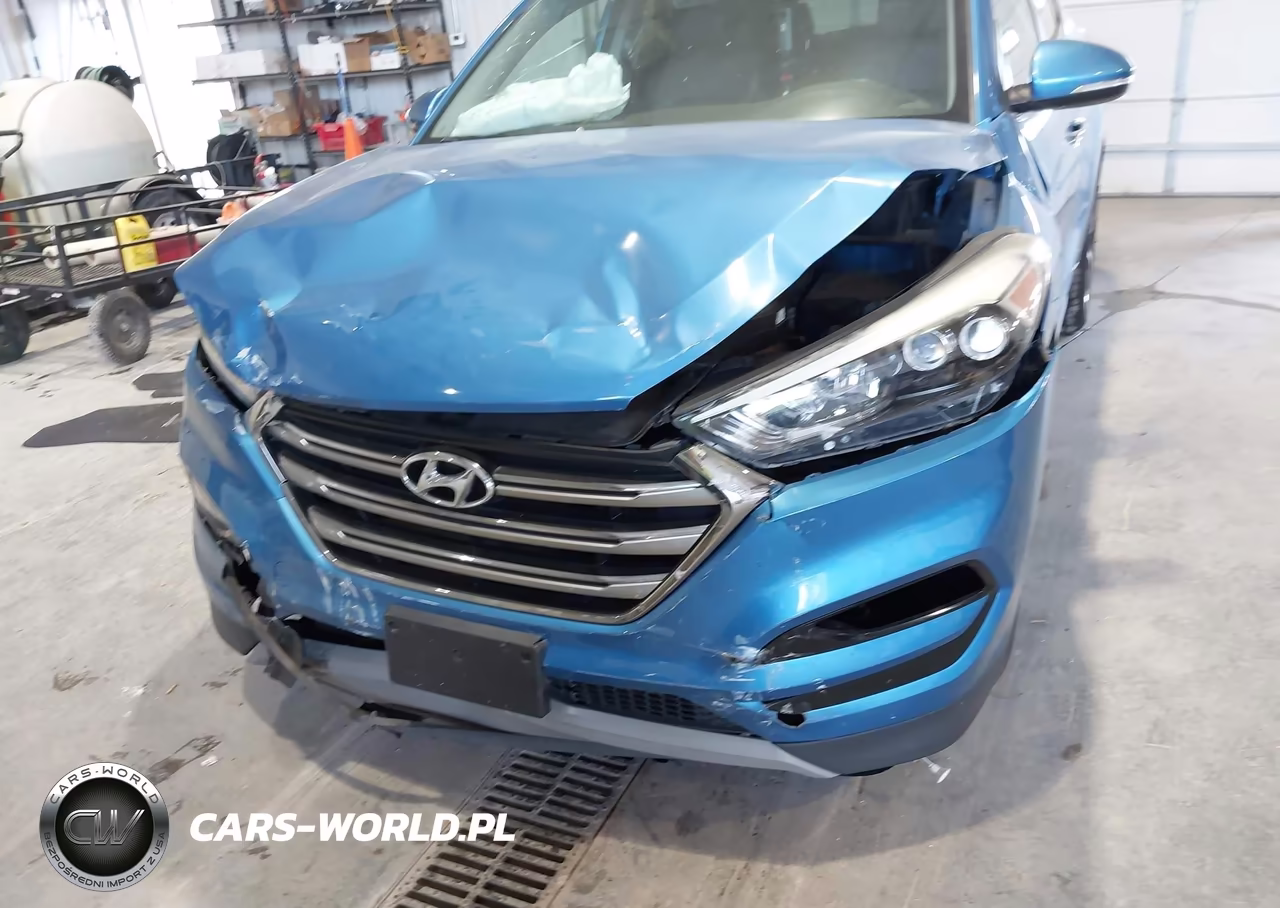 2017 Hyundai Tucson Limited VIN:KM8J33A26HU564653 - 6