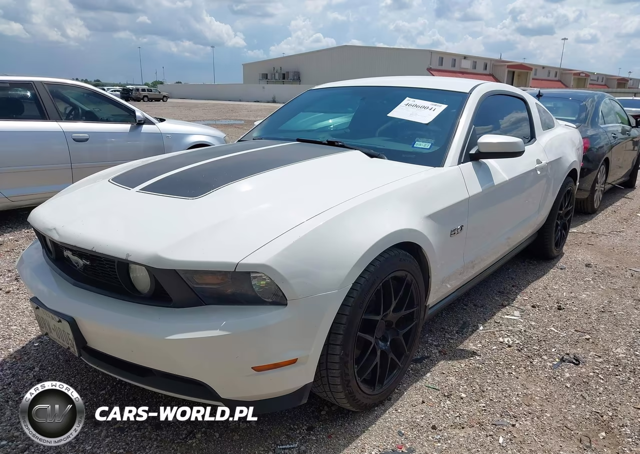 2011 Ford Mustang Gt Premium VIN:1ZVBP8CF4B5110698 - 2