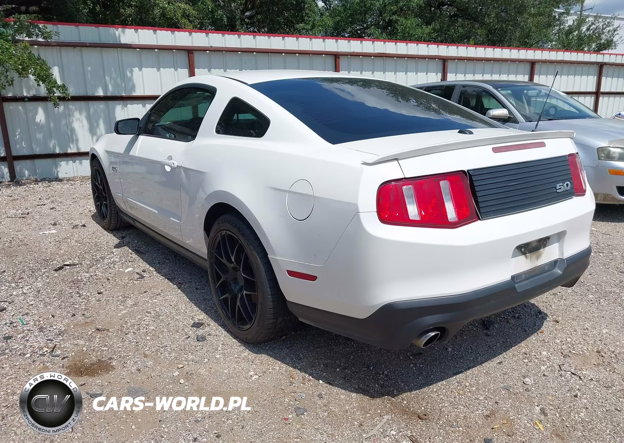 2011 Ford Mustang Gt Premium VIN:1ZVBP8CF4B5110698 - 3