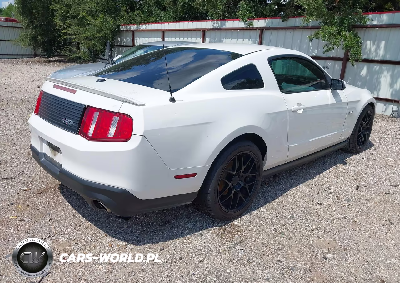 2011 Ford Mustang Gt Premium VIN:1ZVBP8CF4B5110698 - 4