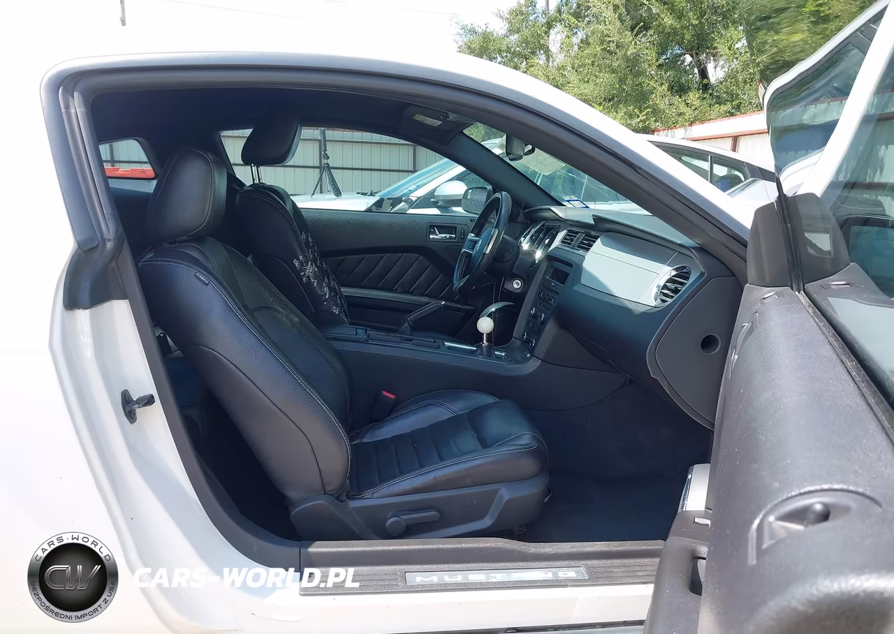 2011 Ford Mustang Gt Premium VIN:1ZVBP8CF4B5110698 - 5
