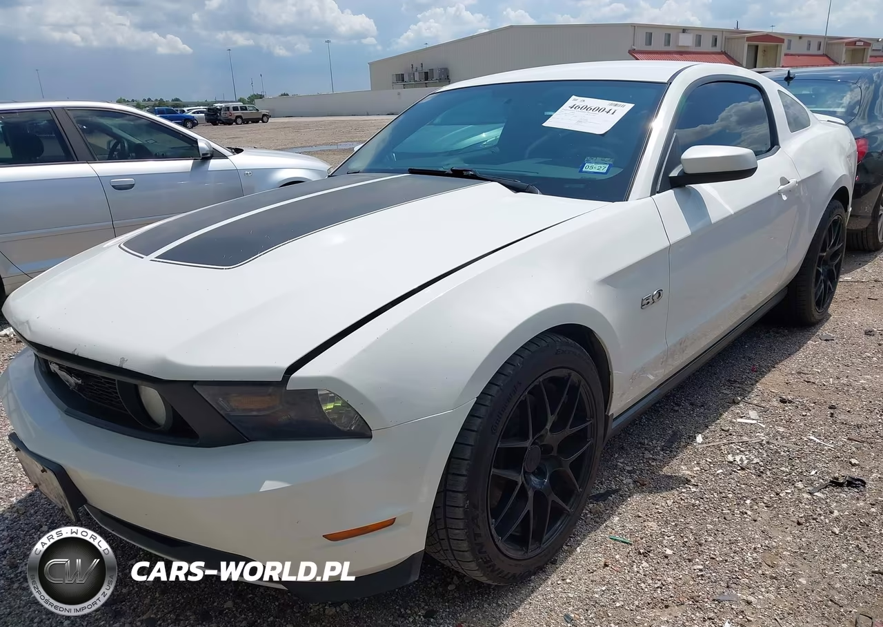 2011 Ford Mustang Gt Premium VIN:1ZVBP8CF4B5110698 - 6
