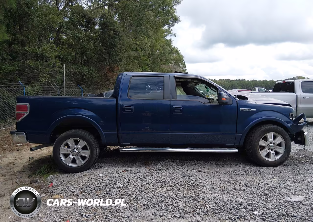 2010 Ford F-150 Fx2 Sport-Harley-Davidson-King Ranch-Lariat-Platinum-Xl-Xlt VIN:1FTFW1CV2AFC82128 - 14