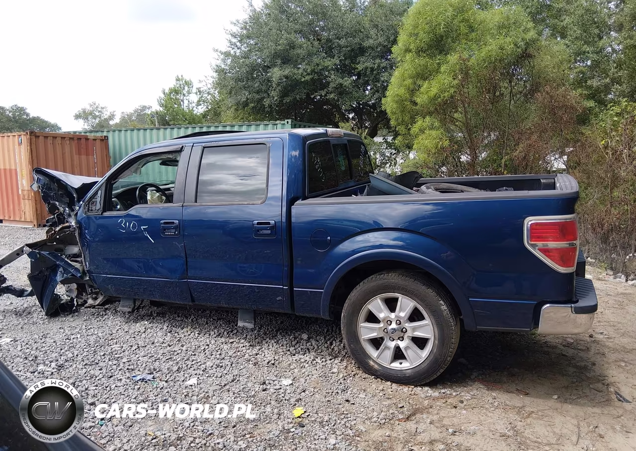 2010 Ford F-150 Fx2 Sport-Harley-Davidson-King Ranch-Lariat-Platinum-Xl-Xlt VIN:1FTFW1CV2AFC82128 - 15