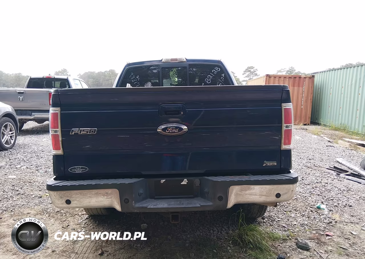 2010 Ford F-150 Fx2 Sport-Harley-Davidson-King Ranch-Lariat-Platinum-Xl-Xlt VIN:1FTFW1CV2AFC82128 - 17