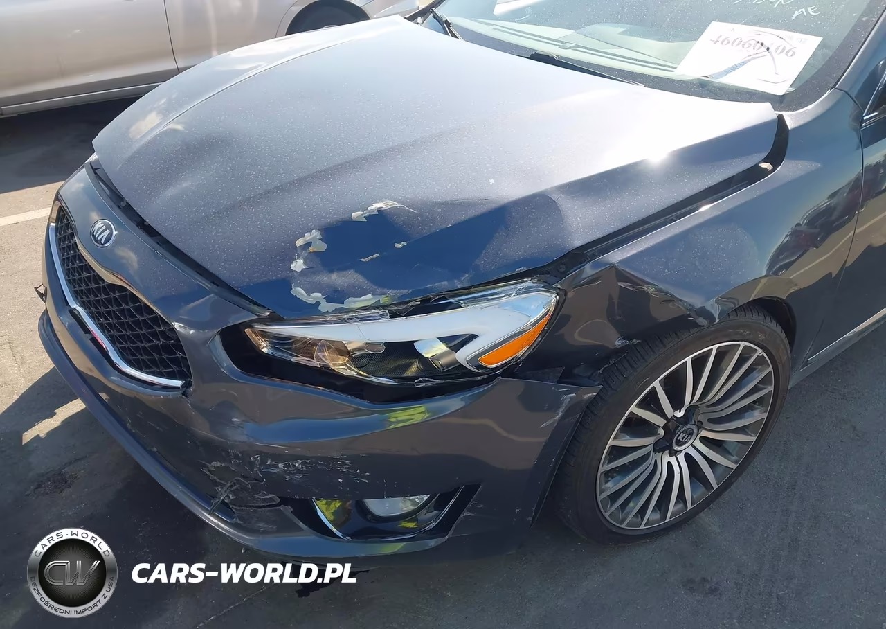 2015 Kia Cadenza Premium VIN:KNALN4D71F5168350 - 6