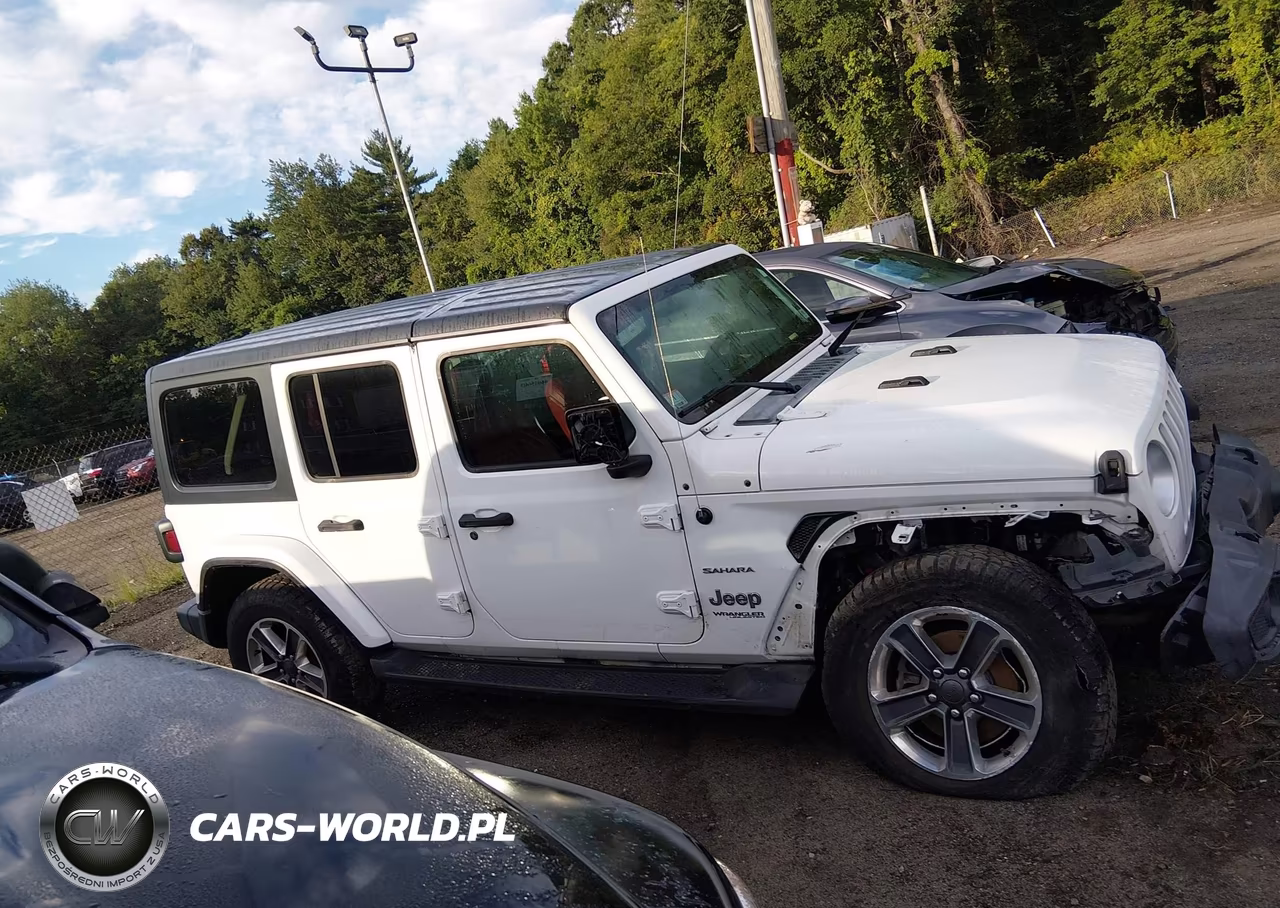2019 Jeep Wrangler Unlimited Sahara 4X4 VIN:1C4HJXEG8KW528402 - 13