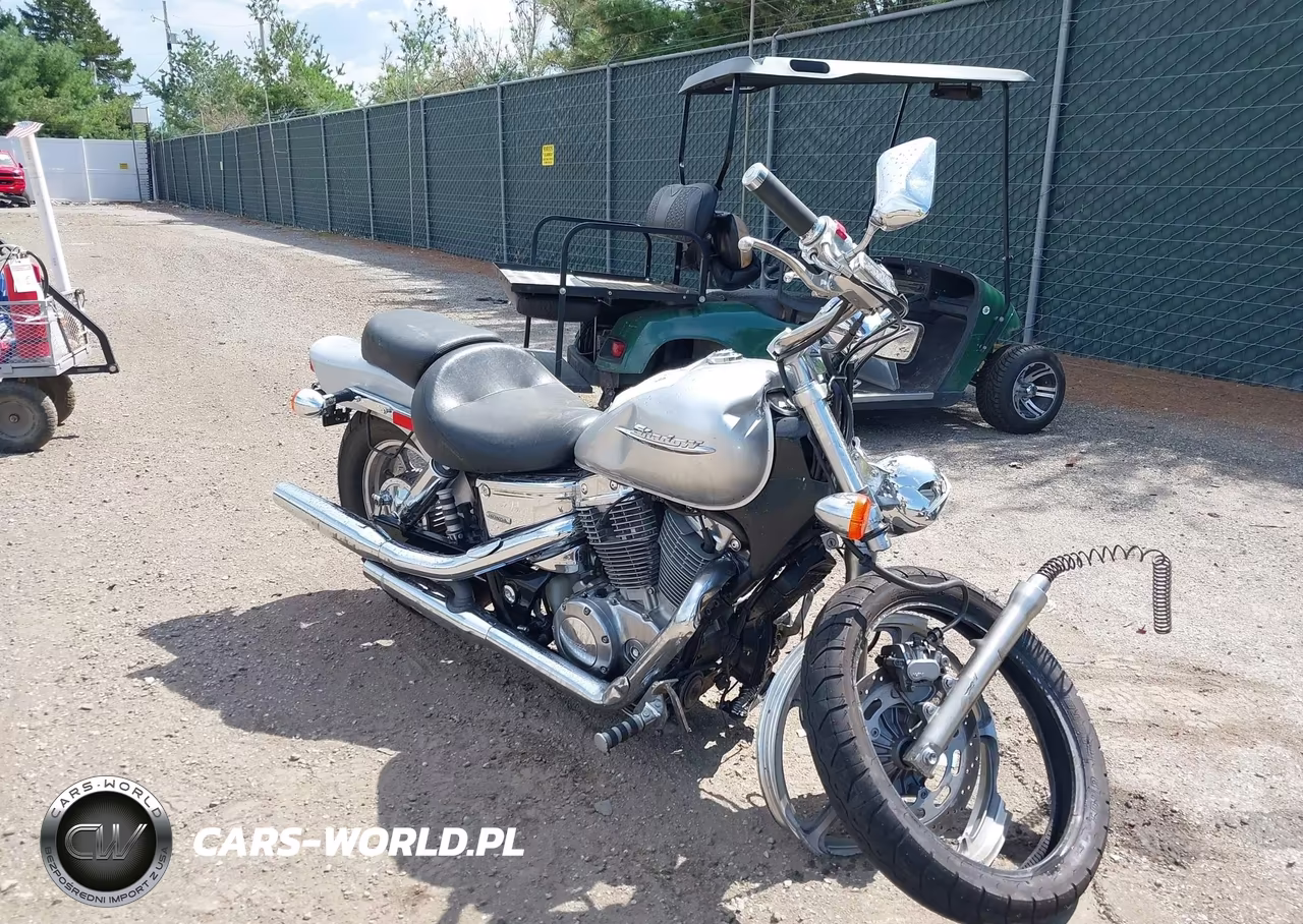 2007 Honda Vt1100 C VIN:1HFSC18047A103359 - 1