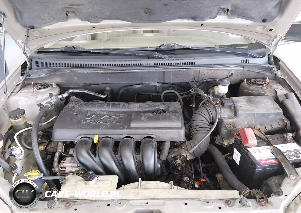 2004 Toyota Corolla Ce VIN:1NXBR32E74Z242772 - 10