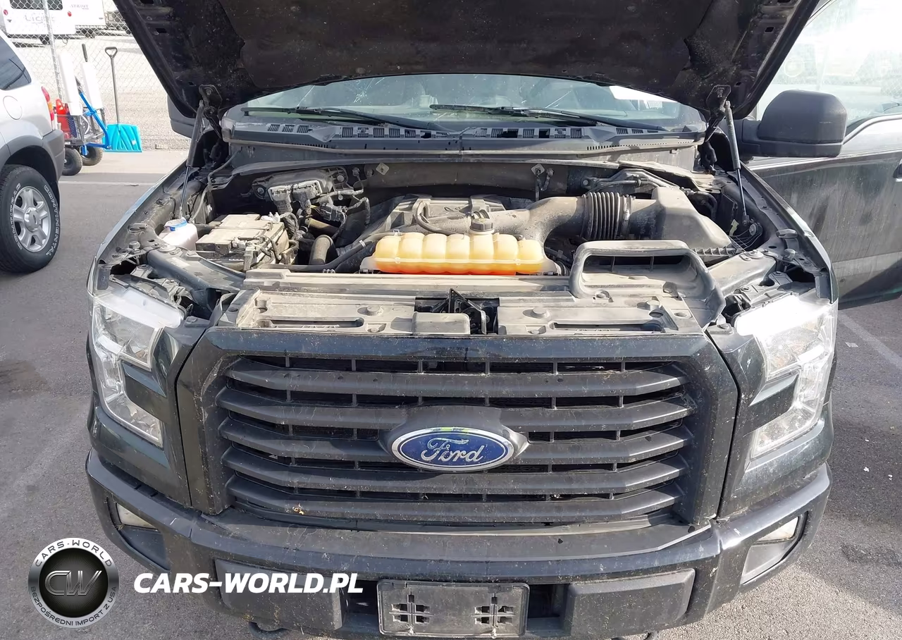 2017 Ford F-150 Xl VIN:1FTEX1EP1HFB65075 - 10