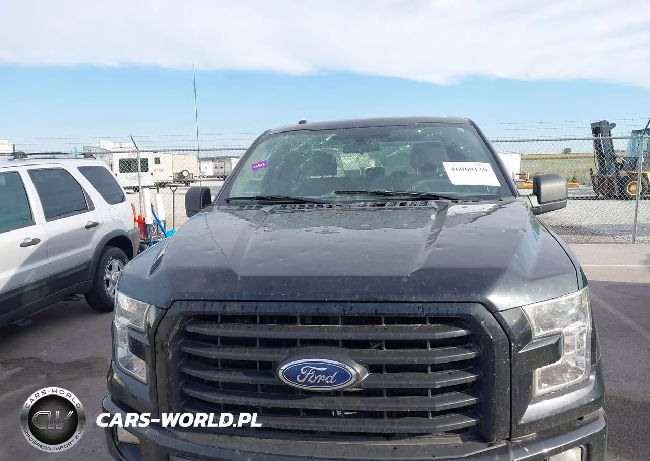2017 Ford F-150 Xl VIN:1FTEX1EP1HFB65075 - 6