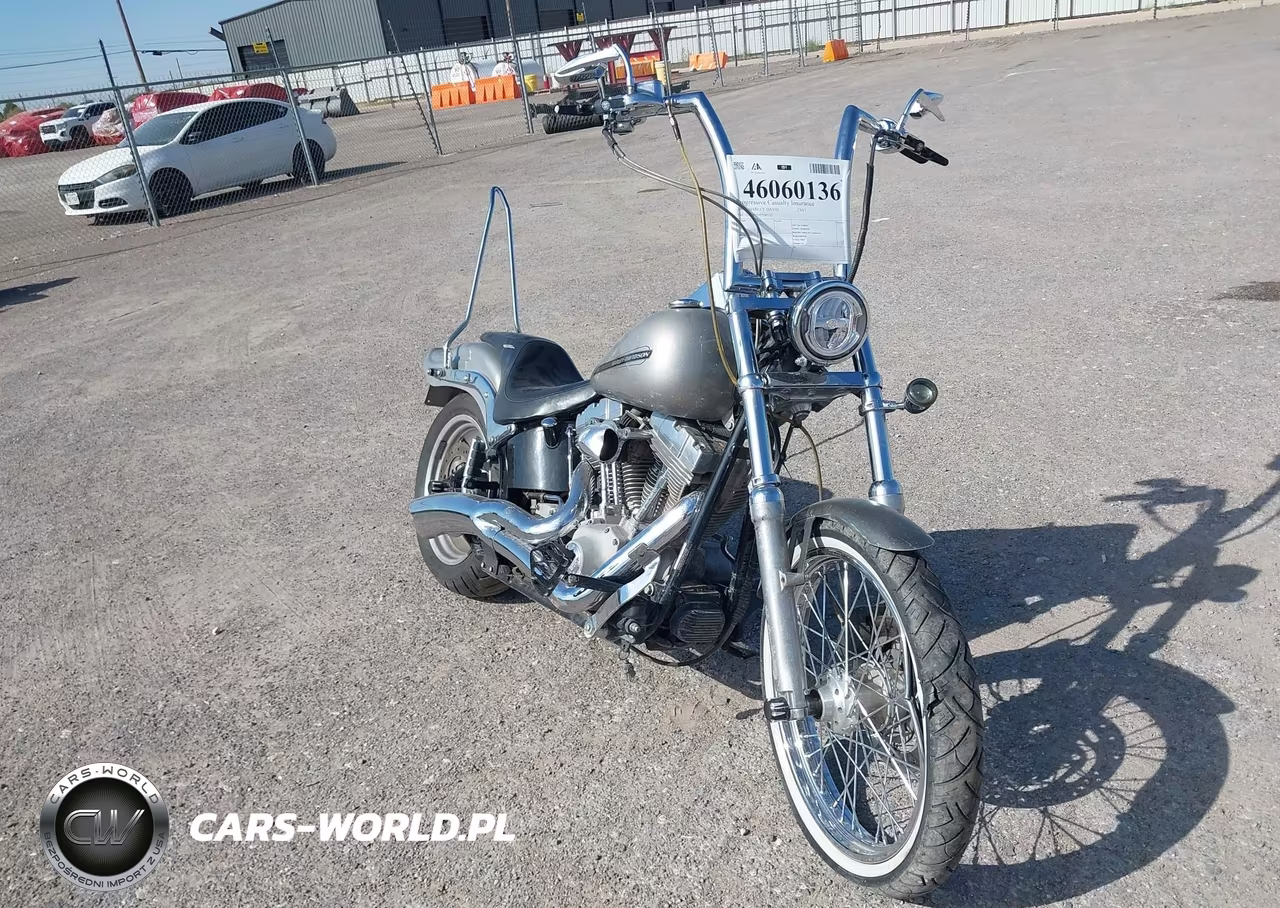 2007 Harley-Davidson Fxst VIN:1HD1BV5187Y087153 - 1