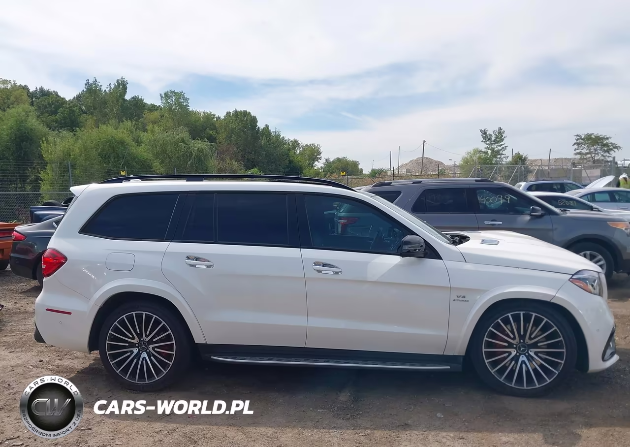 2017 Mercedes-Benz Amg Gls 63 4Matic VIN:4JGDF7FEXHA840980 - 12