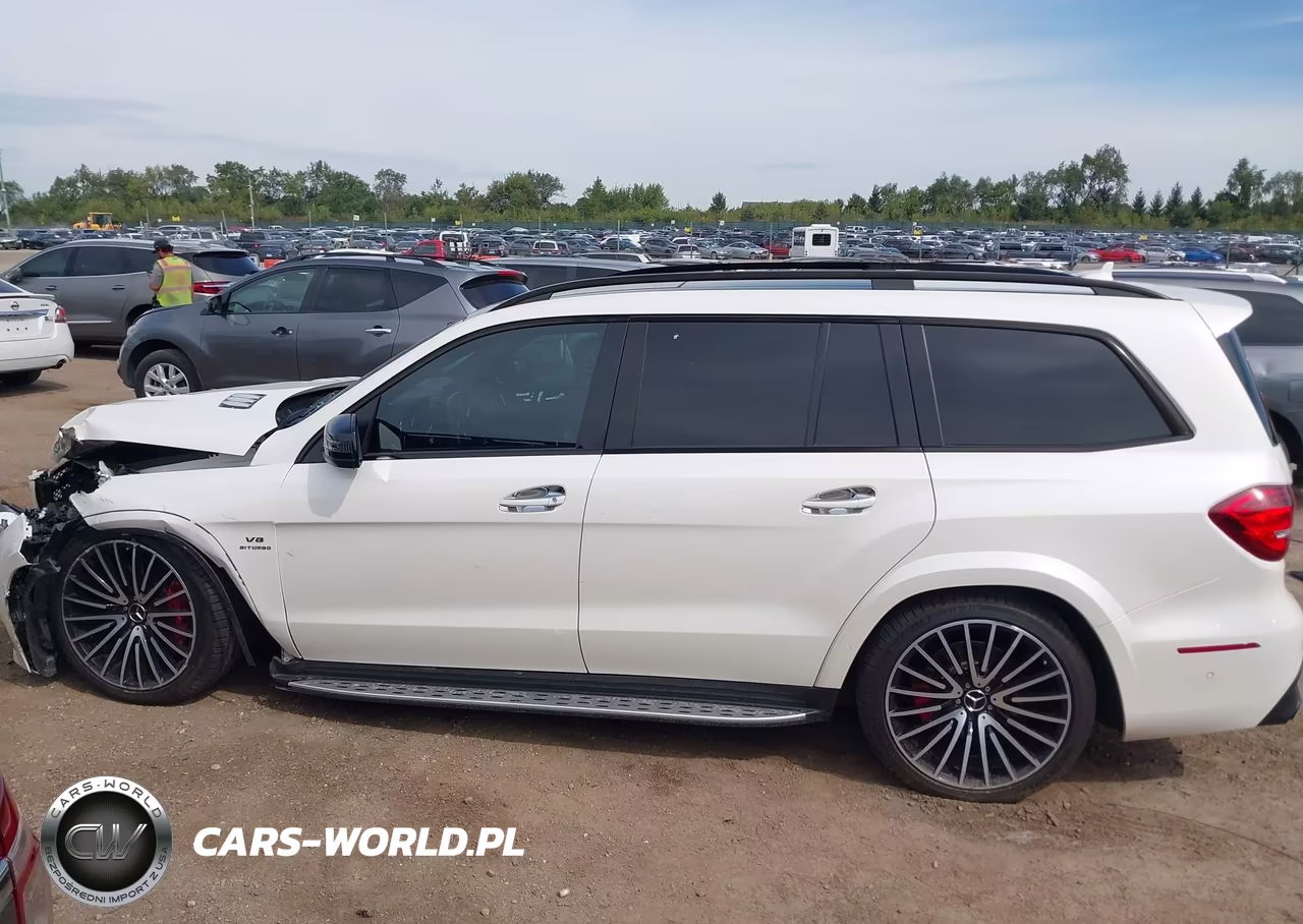 2017 Mercedes-Benz Amg Gls 63 4Matic VIN:4JGDF7FEXHA840980 - 13