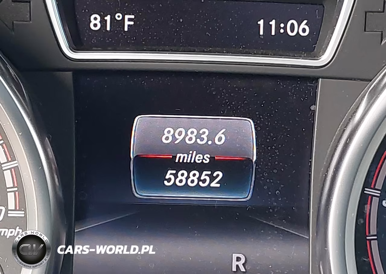 2017 Mercedes-Benz Amg Gls 63 4Matic VIN:4JGDF7FEXHA840980 - 14