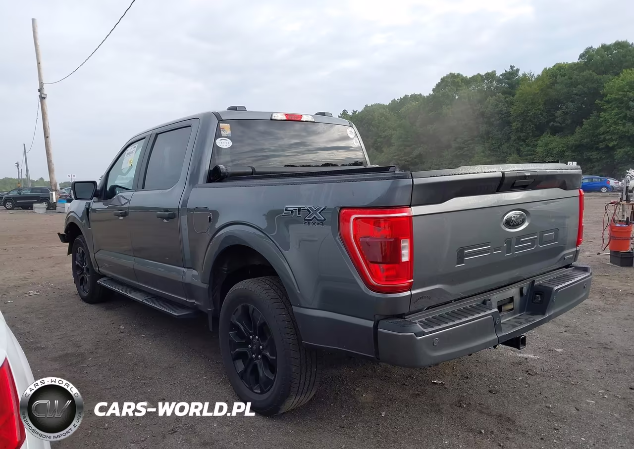 2022 Ford F-150 Xl VIN:1FTEW1EP3NFB80935 - 14