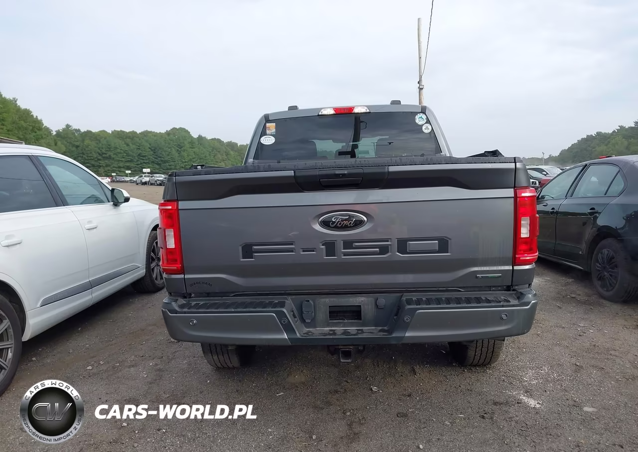 2022 Ford F-150 Xl VIN:1FTEW1EP3NFB80935 - 16