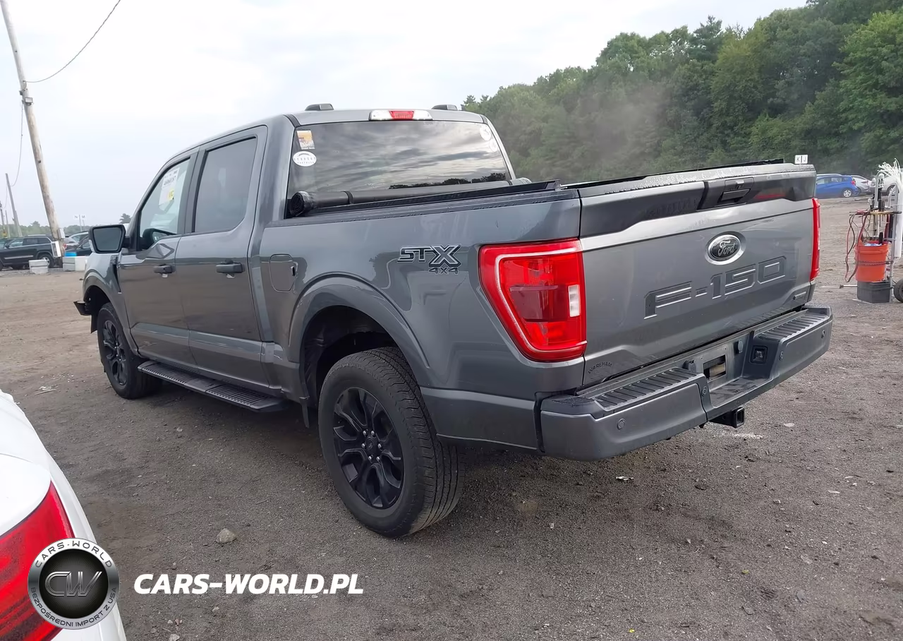 2022 Ford F-150 Xl VIN:1FTEW1EP3NFB80935 - 3