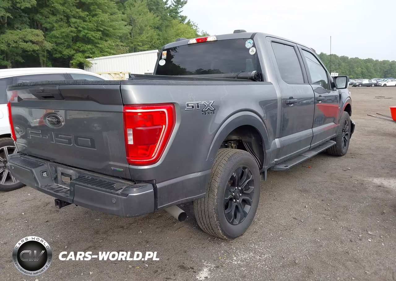 2022 Ford F-150 Xl VIN:1FTEW1EP3NFB80935 - 4