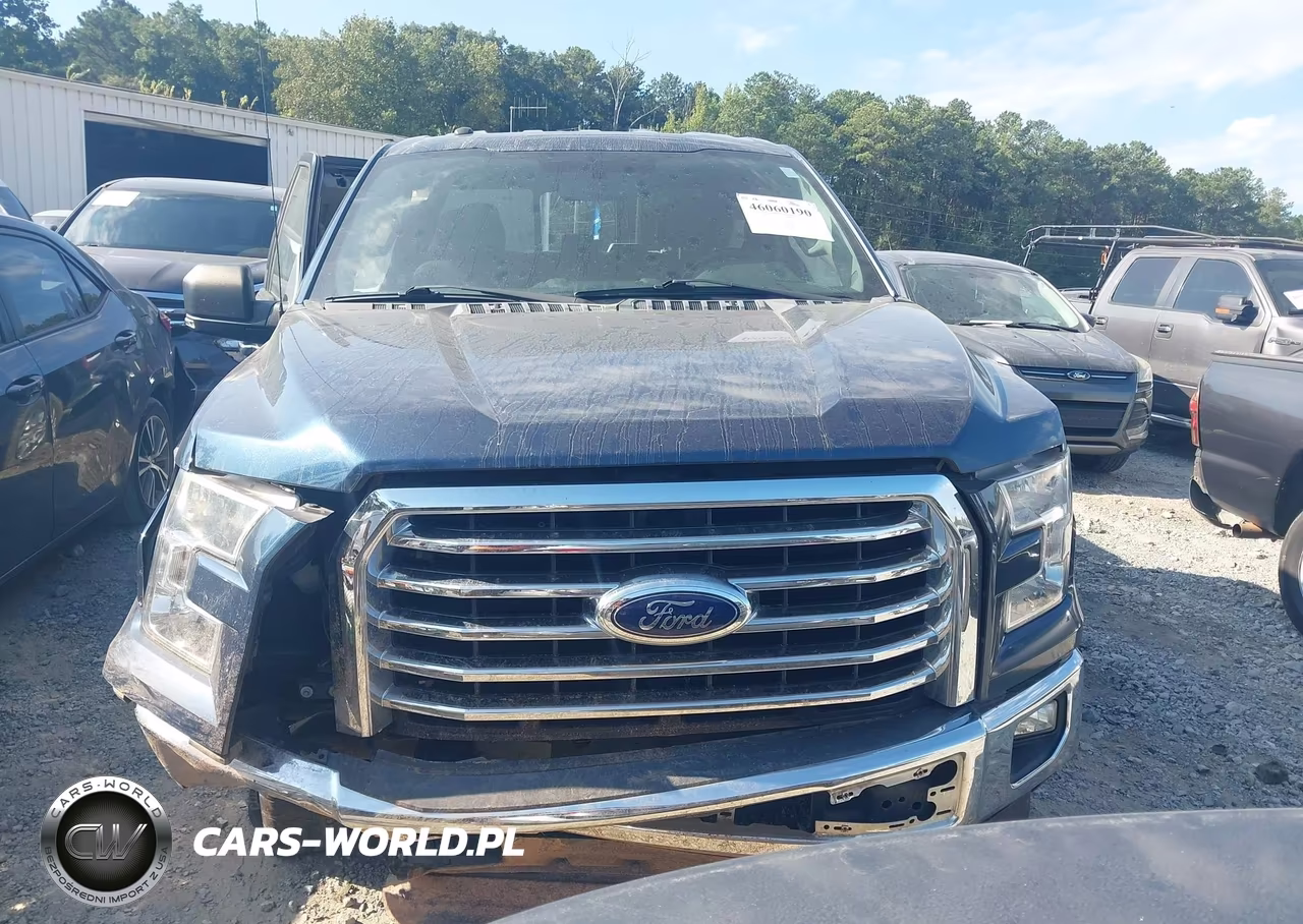 2017 Ford F-150 Xlt VIN:1FTFX1EF9HFA92579 - 12
