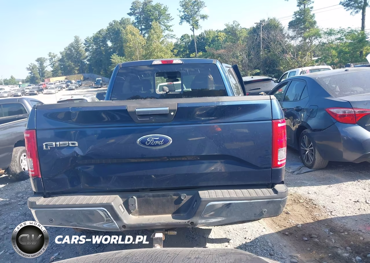 2017 Ford F-150 Xlt VIN:1FTFX1EF9HFA92579 - 16
