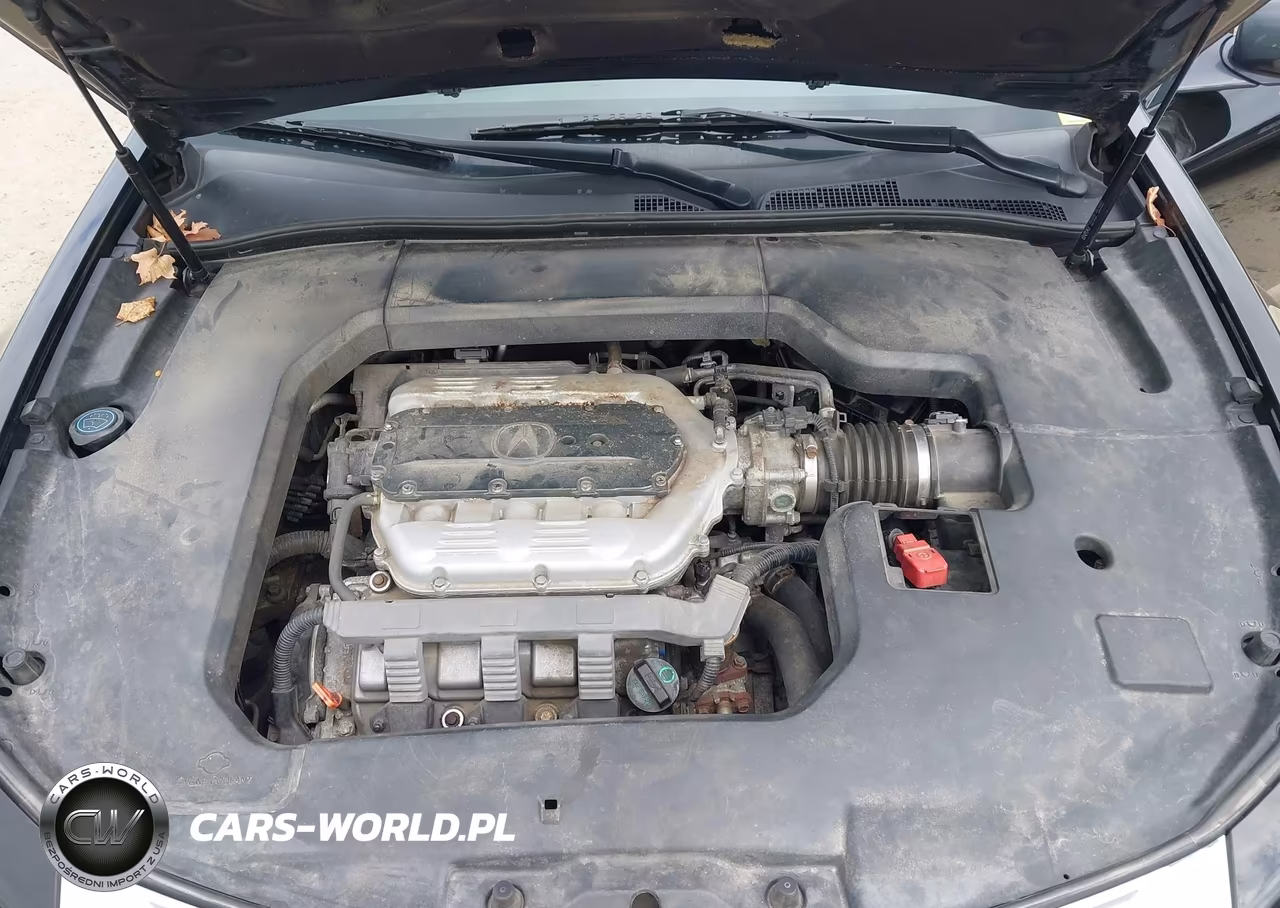 2010 Acura Tl 3.7 VIN:19UUA9E54AA000720 - 10