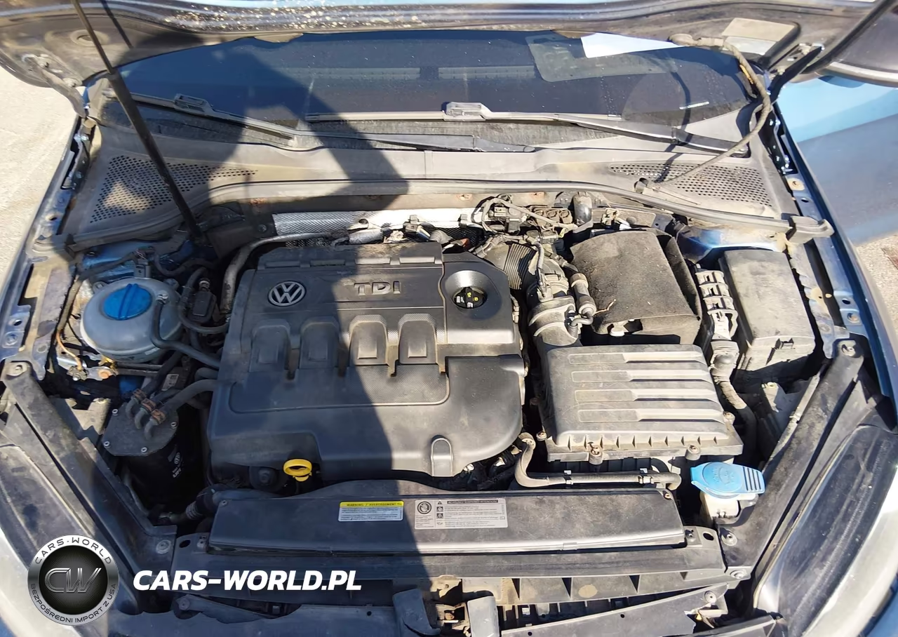2015 Volkswagen Golf Sportwagen Tdi Sel 4-Door VIN:3VWCA7AU3FM501178 - 10