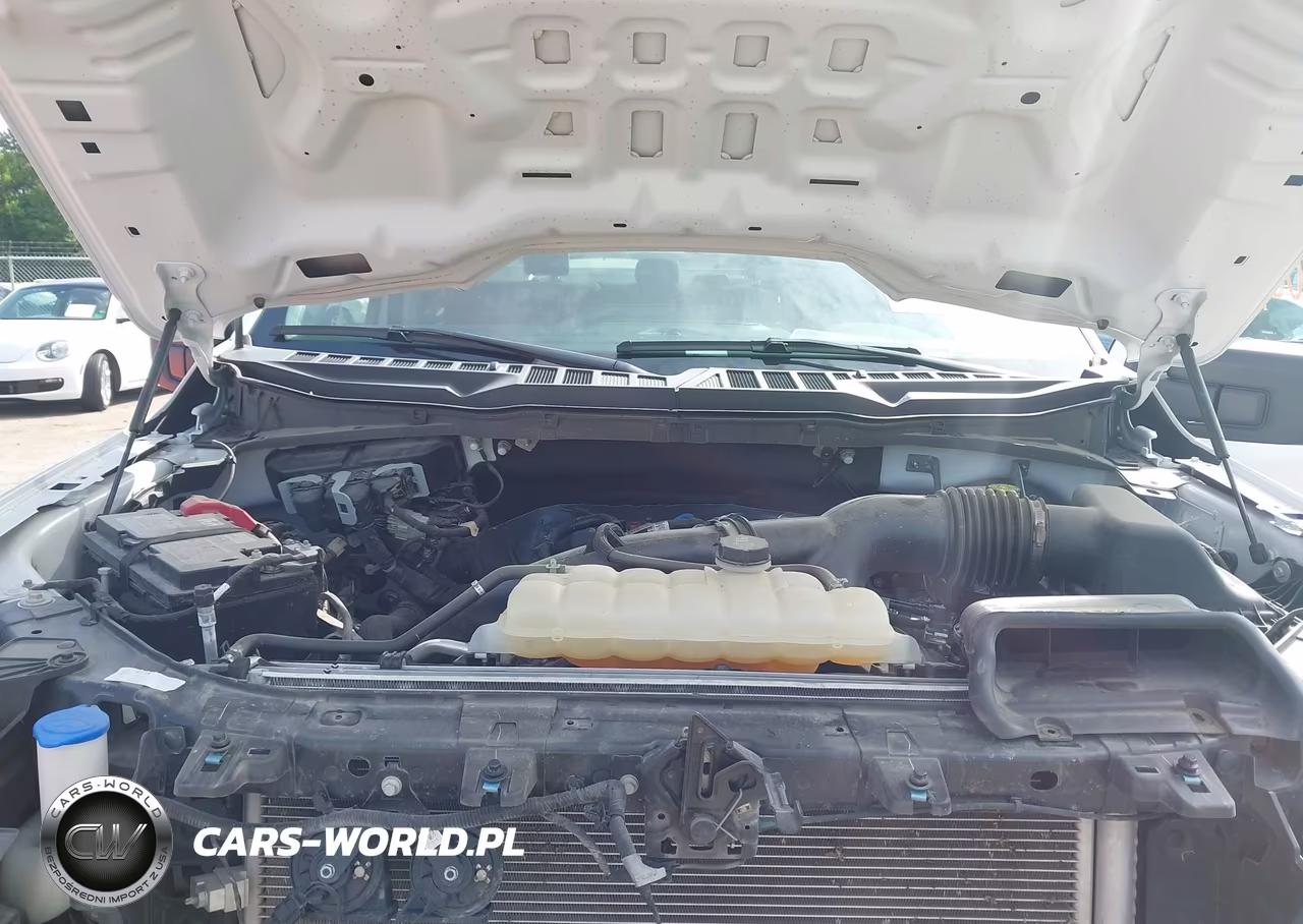 2025 Ford F-150 Xlt VIN:1FTEW3KP6SKE06128 - 10