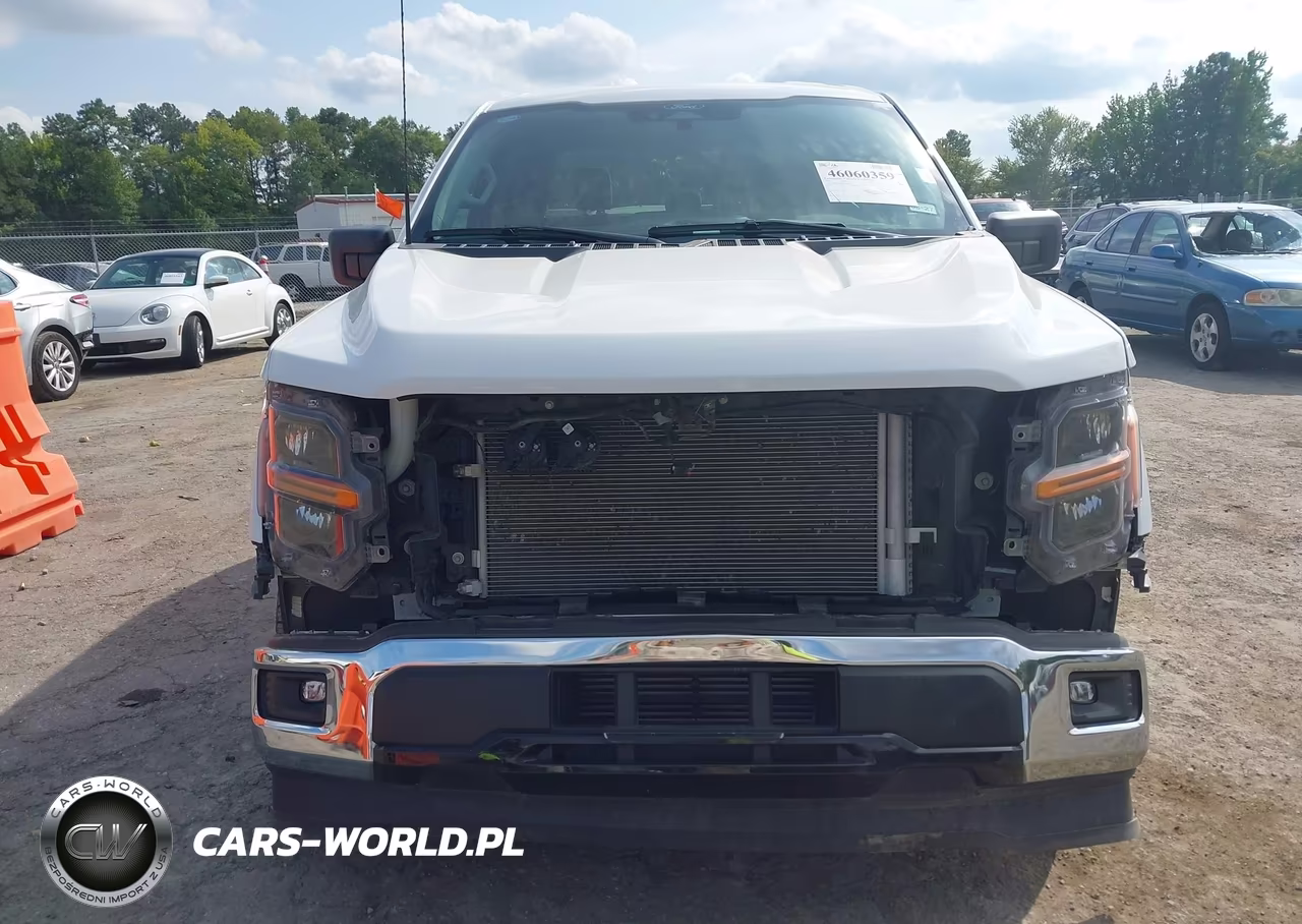 2025 Ford F-150 Xlt VIN:1FTEW3KP6SKE06128 - 12