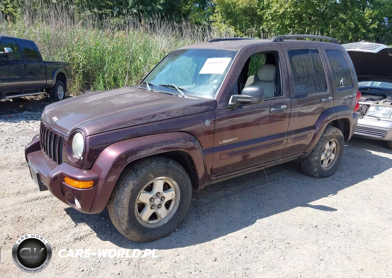 2004 Jeep Liberty Limited Edition VIN:1J8GL58K44W231441 - 2