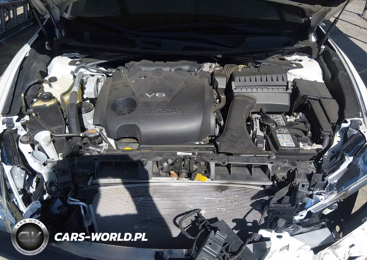 2020 Nissan Maxima Sl Xtronic Cvt VIN:1N4AA6DV3LC384004 - 10