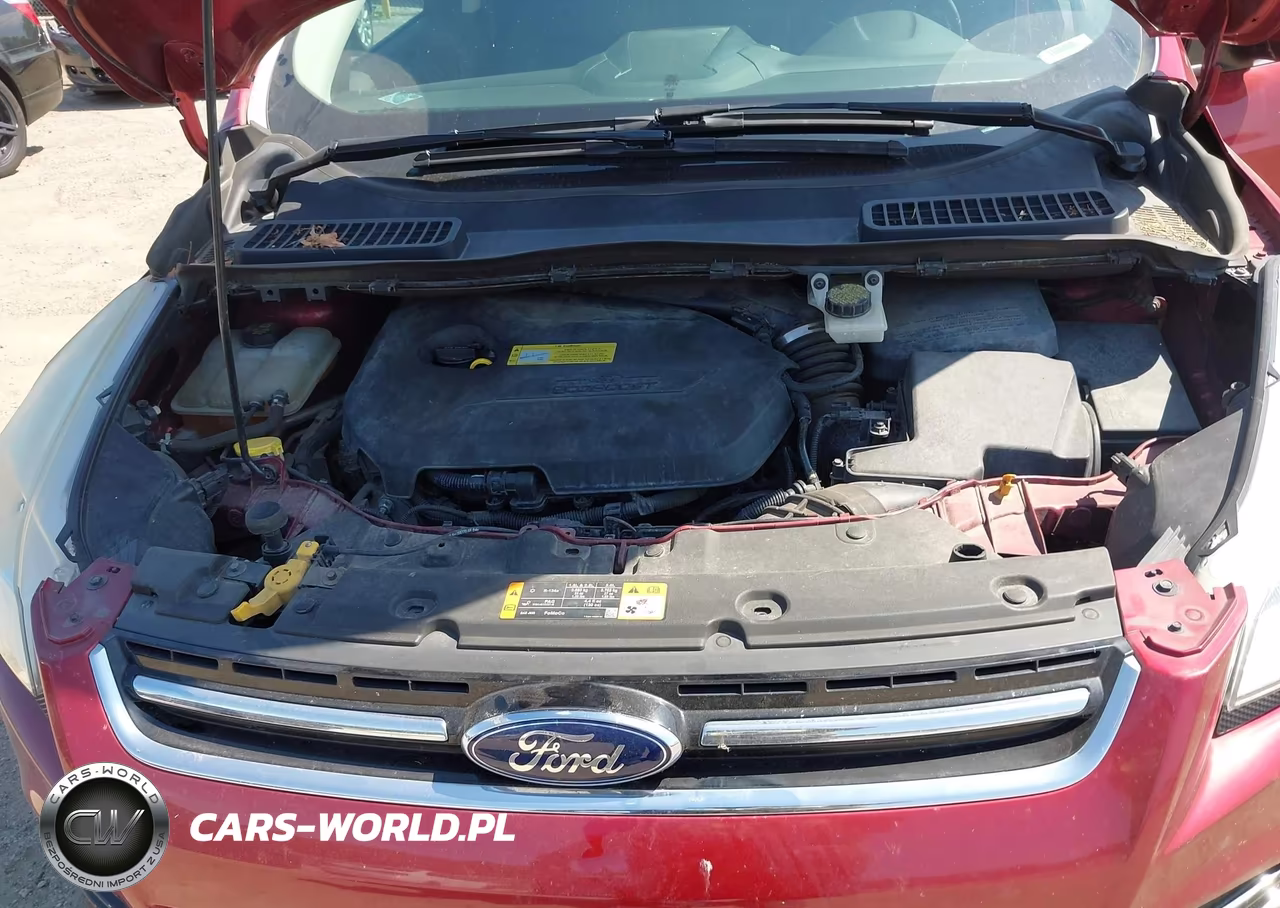 2013 Ford Escape Sel VIN:1FMCU0HXXDUC84167 - 10