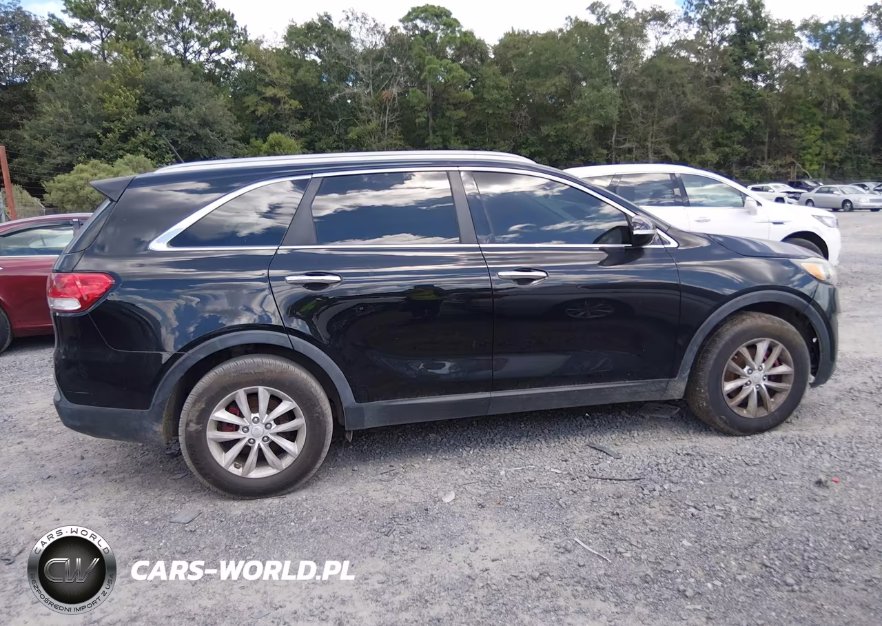 2017 Kia Sorento 2.4L Lx VIN:5XYPG4A33HG216621 - 13